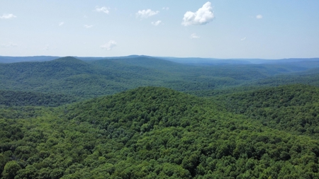 Land Bordering Ozark National Forest For Sale Newton Co, Ar - image 15
