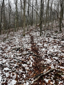 Land Bordering Ozark National Forest For Sale Newton Co, Ar - image 20