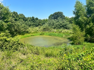 Land Bordering Ozark National Forest For Sale Newton Co, Ar - image 21