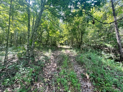 Land Bordering Ozark National Forest For Sale Newton Co, Ar - image 19