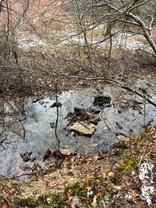 Land Bordering Ozark National Forest For Sale Newton Co, Ar - image 16