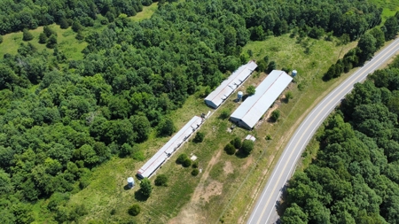 Land Bordering Ozark National Forest For Sale Newton Co, Ar - image 7