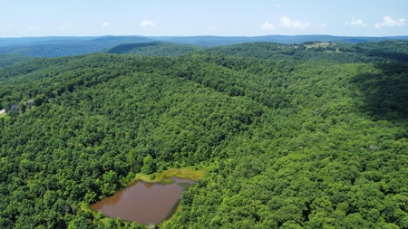 Land Bordering Ozark National Forest For Sale Newton Co, Ar - image 5