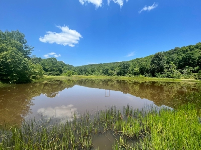 Land Bordering Ozark National Forest For Sale Newton Co, Ar - image 1
