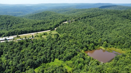 Land Bordering Ozark National Forest For Sale Newton Co, Ar - image 4
