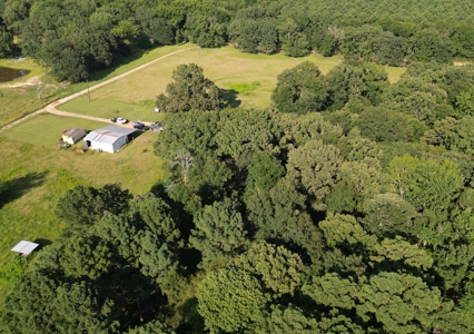 Hobby Farm 40± acres 3/2 with pond, barn and shop - image 8