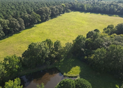 Hobby Farm 40± acres 3/2 with pond, barn and shop - image 6