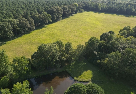 Hobby Farm 40± acres 3/2 with pond, barn and shop - image 7