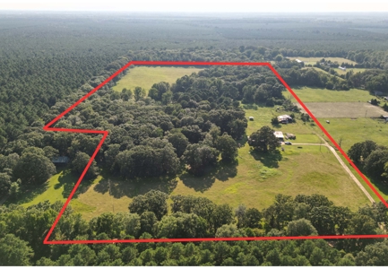 Hobby Farm 40± acres 3/2 with pond, barn and shop - image 2
