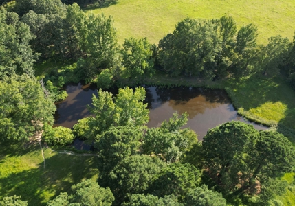 Hobby Farm 40± acres 3/2 with pond, barn and shop - image 5