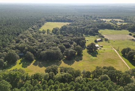 Hobby Farm 40± acres 3/2 with pond, barn and shop - image 4