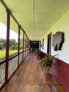 Enchanting Finca Santa Teresa in the Heart of Quindío - image 13