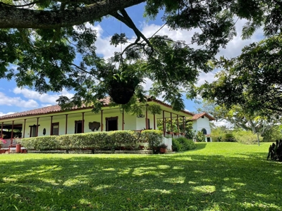 Enchanting Finca Santa Teresa in the Heart of Quindío - image 3