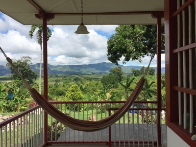 Beautiful Farm for Sale in Montenegro, Quindío - image 16