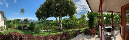 Beautiful Farm for Sale in Montenegro, Quindío - image 5