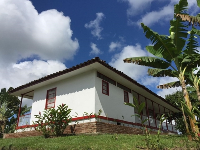 Beautiful Farm for Sale in Montenegro, Quindío - image 14