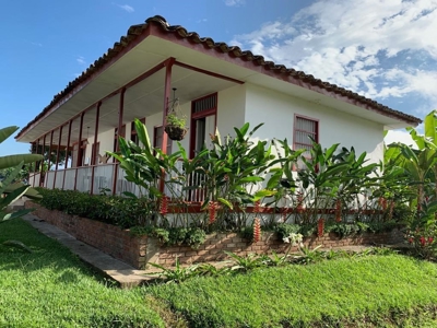 Beautiful Farm for Sale in Montenegro, Quindío - image 13