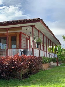 Beautiful Farm for Sale in Montenegro, Quindío - image 7