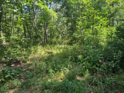 Country Home on 52 Acres in Benton County For Sale - image 32