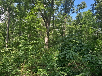 Country Home on 52 Acres in Benton County For Sale - image 31