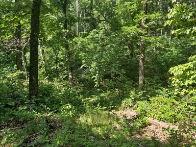 Country Home on 52 Acres in Benton County For Sale - image 35