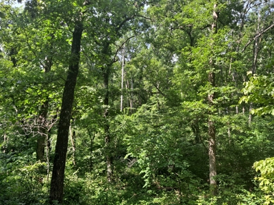 Country Home on 52 Acres in Benton County For Sale - image 34