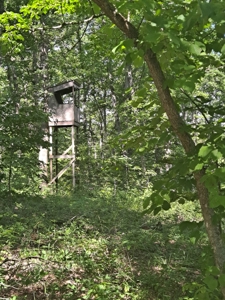 Country Home on 52 Acres in Benton County For Sale - image 26