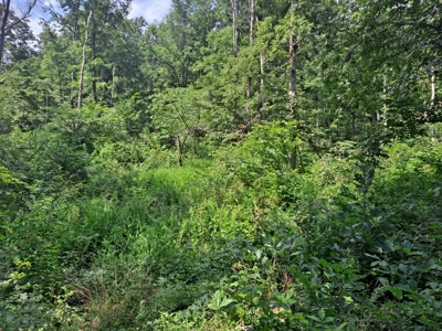 Country Home on 52 Acres in Benton County For Sale - image 38