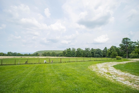 6 Bedroom 5 Bath Gaither Mountain Home For Sale on 2.5 Acres - image 6