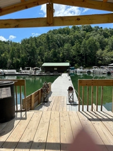 Well Established Marina/Campground in Butler, Tennessee - image 35