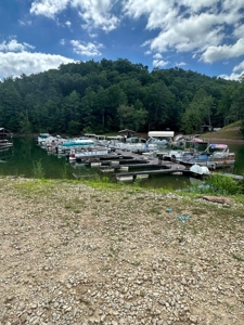 Well Established Marina/Campground in Butler, Tennessee - image 8