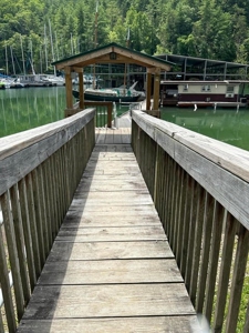 Well Established Marina/Campground in Butler, Tennessee - image 31