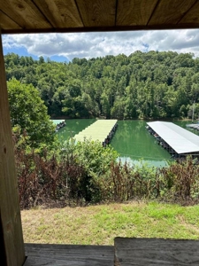 Well Established Marina/Campground in Butler, Tennessee - image 32