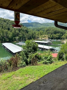 Well Established Marina/Campground in Butler, Tennessee - image 36