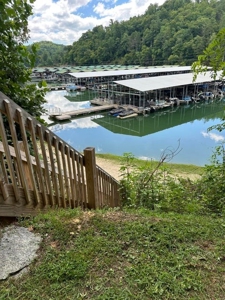Well Established Marina/Campground in Butler, Tennessee - image 4
