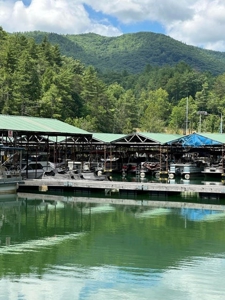Well Established Marina/Campground in Butler, Tennessee - image 37
