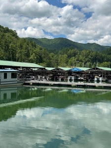 Well Established Marina/Campground in Butler, Tennessee - image 27