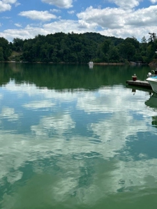Well Established Marina/Campground in Butler, Tennessee - image 26