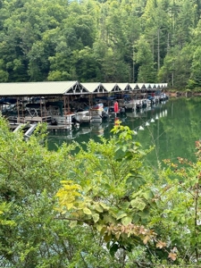 Well Established Marina/Campground in Butler, Tennessee - image 16