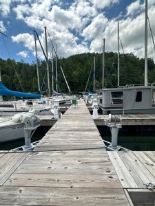 Well Established Marina/Campground in Butler, Tennessee - image 14