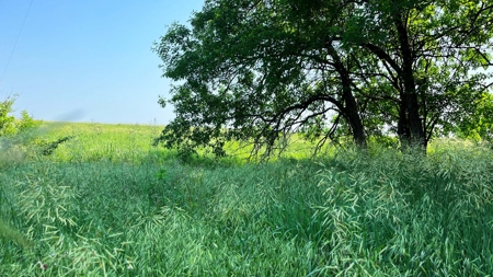 Osage County Kansas Pasture and Recreational Property - image 15