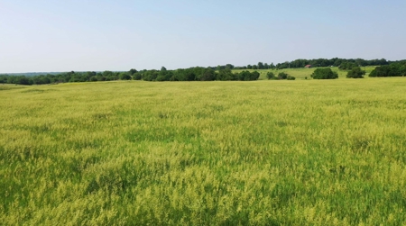 Osage County Kansas Pasture and Recreational Property - image 6
