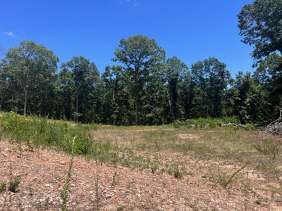 28 Acres For Sale in the Ozark Mountains - image 9
