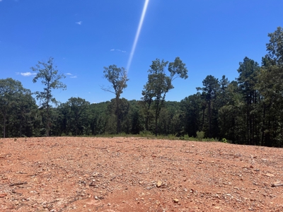 28 Acres For Sale in the Ozark Mountains - image 5