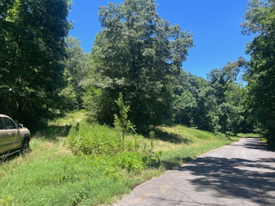 28 Acres For Sale in the Ozark Mountains - image 10