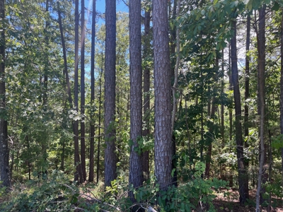 28 Acres For Sale in the Ozark Mountains - image 8