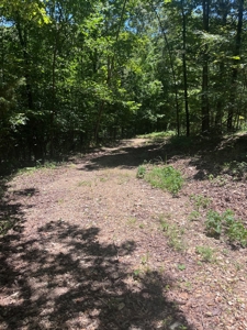 28 Acres For Sale in the Ozark Mountains - image 2