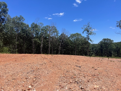 28 Acres For Sale in the Ozark Mountains - image 1