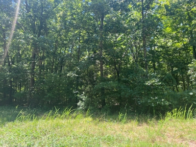 28 Acres For Sale in the Ozark Mountains - image 11