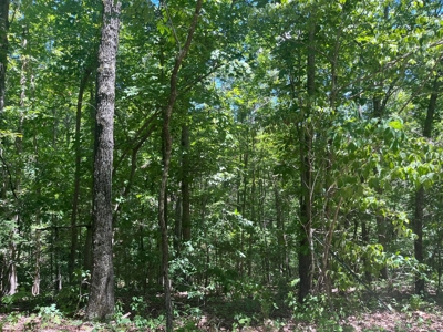 28 Acres For Sale in the Ozark Mountains - image 4